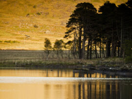 Llyn y Gadair